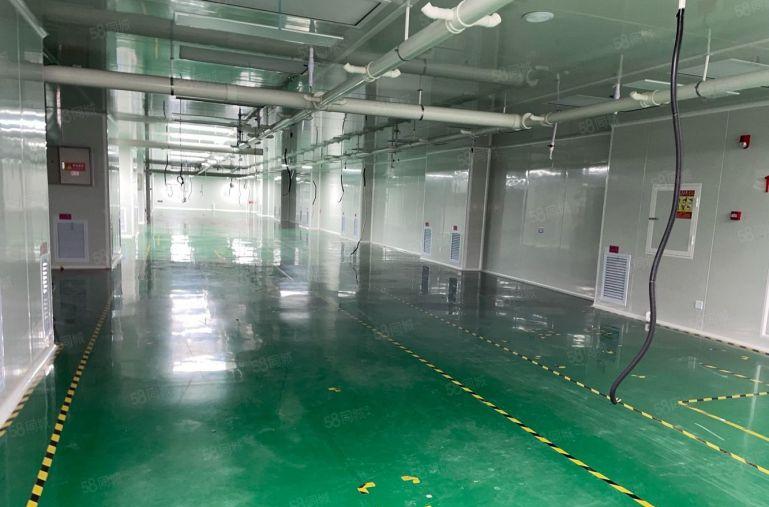 光明高薪园200平方600平方至2000平方低价仓库厂房出租