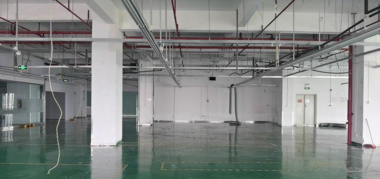 光明田寮高新区原房东红本厂房出租2000平米带精装修可分租