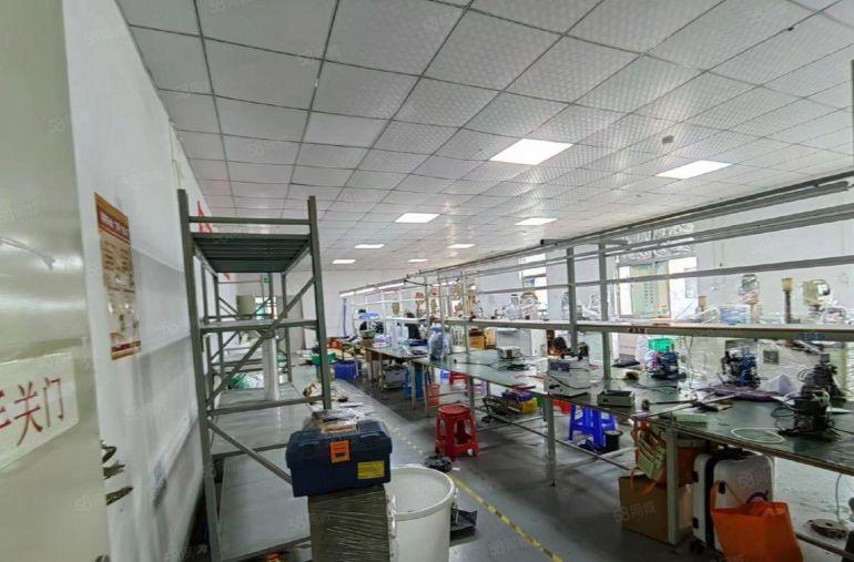 光明红星独院厂房出租3300~6600平坐南朝北，可分栋租