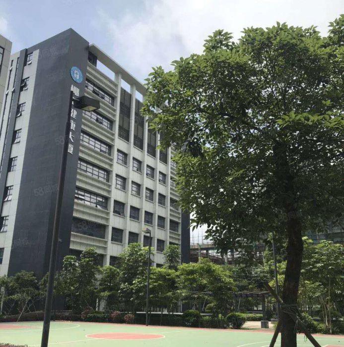 光明公明半导体，芯片，电商产业园，500至3000平好分租