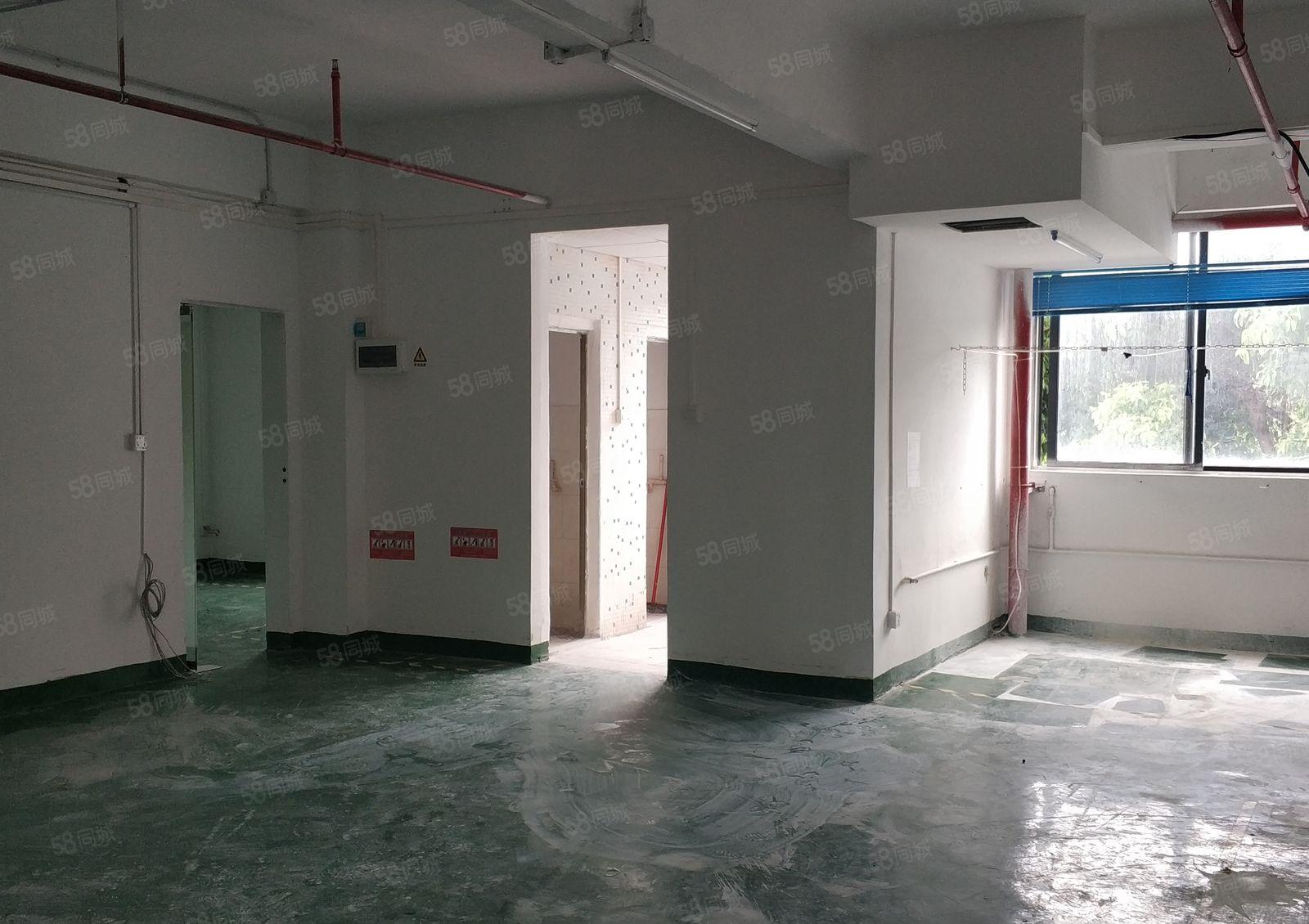 美盈（凤凰）智汇园 148平写字楼 双面采光 科技桃花园