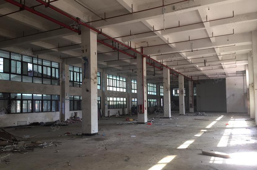 公明一楼厂房出租，(300平一1500平25元）起租