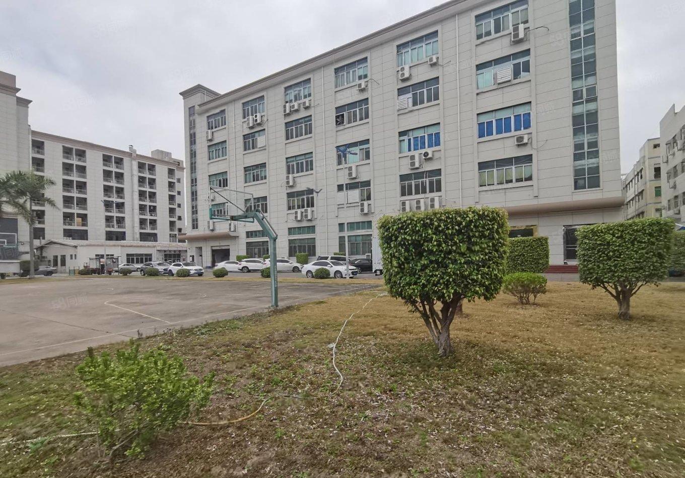 500平起租光明原房东红本独院仓库厂房出租可分租方便招工