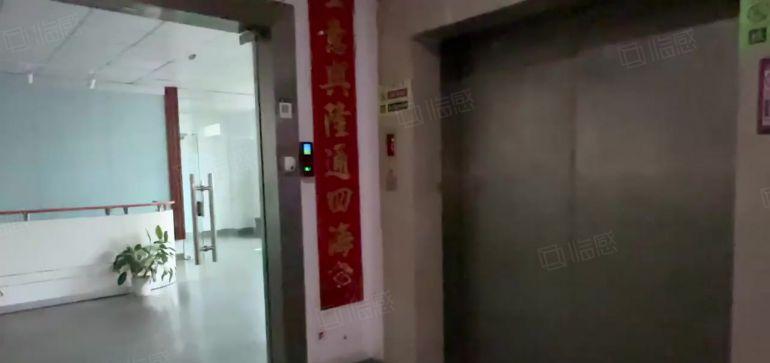 光明甲子塘大型园区厂房1200平精装，无转让费 好招工