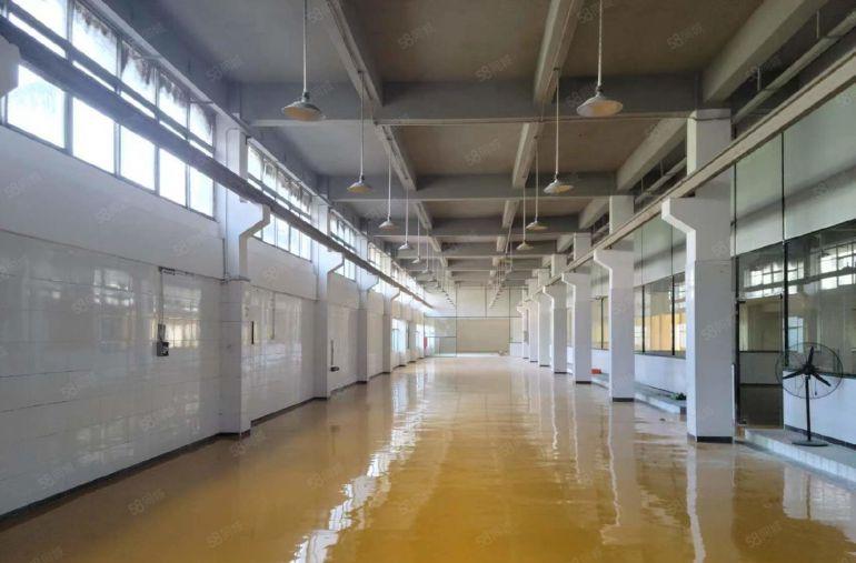 公明标准一楼厂房，仓库出租（2500平高6米高带牛角）可分租