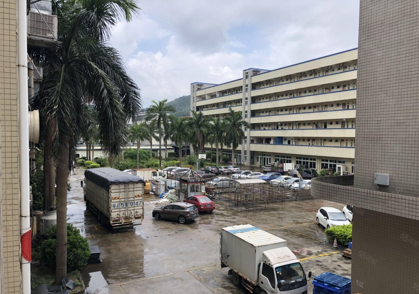 合同十年一手房东直租光明龙大高速旁独院厂房仓库8000平出租