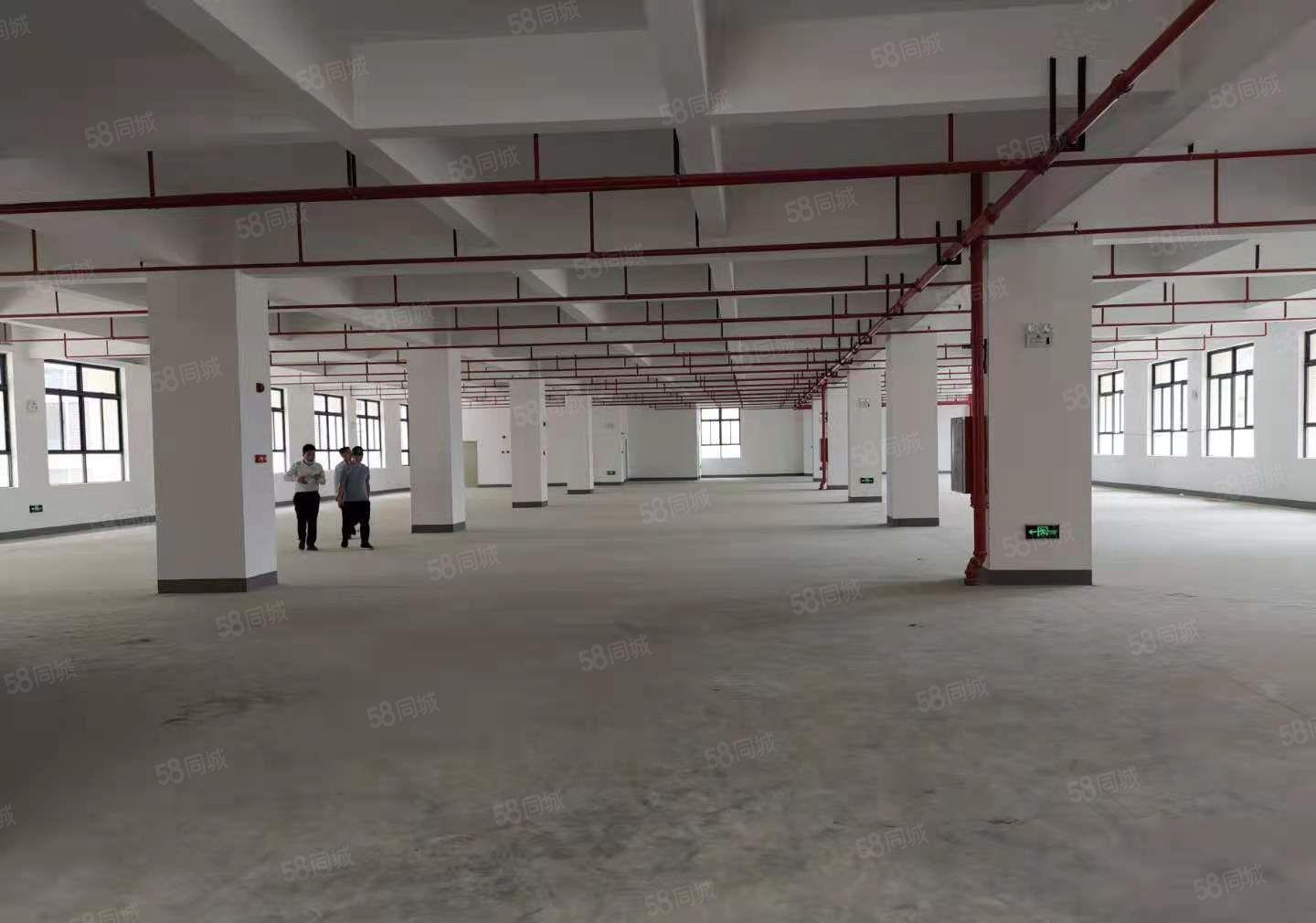 开发商直租厂房，仓库出租15000平600平起分，3吨货梯