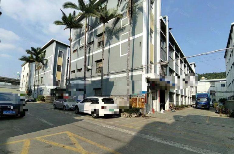 光明红星独院厂房出租3300~6600平坐南朝北，可分栋租