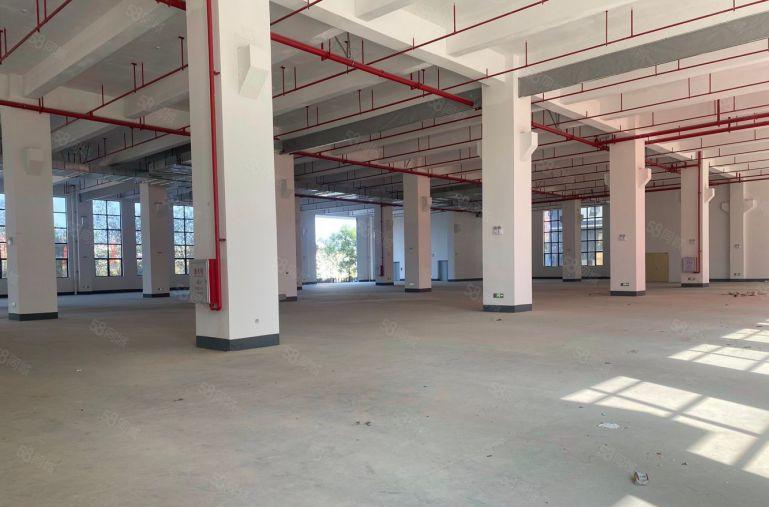 光明玉律原房东全新红本产业园500平方起租享受光明高新补贴