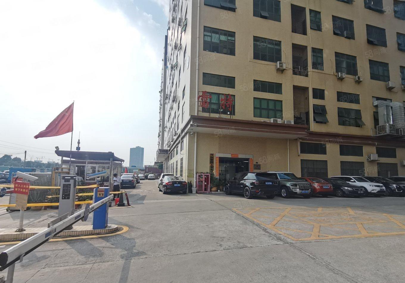 光明新区新出田寮带红本800平厂房可分租一半