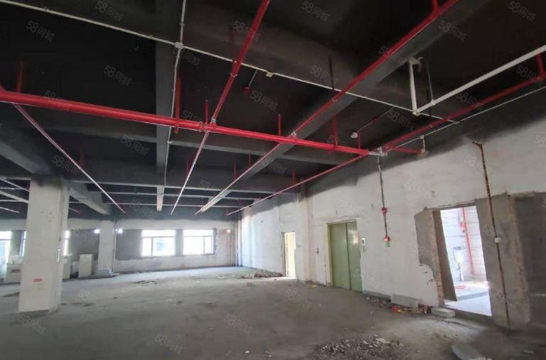 光明800平方原房东红本厂房仓库出租300起租可办公研发