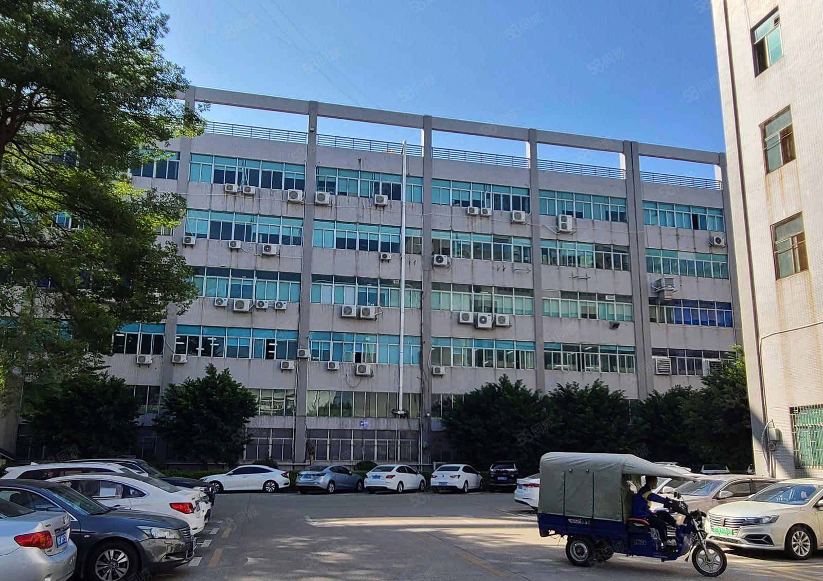 光明原房东一楼红本厂房大小可分