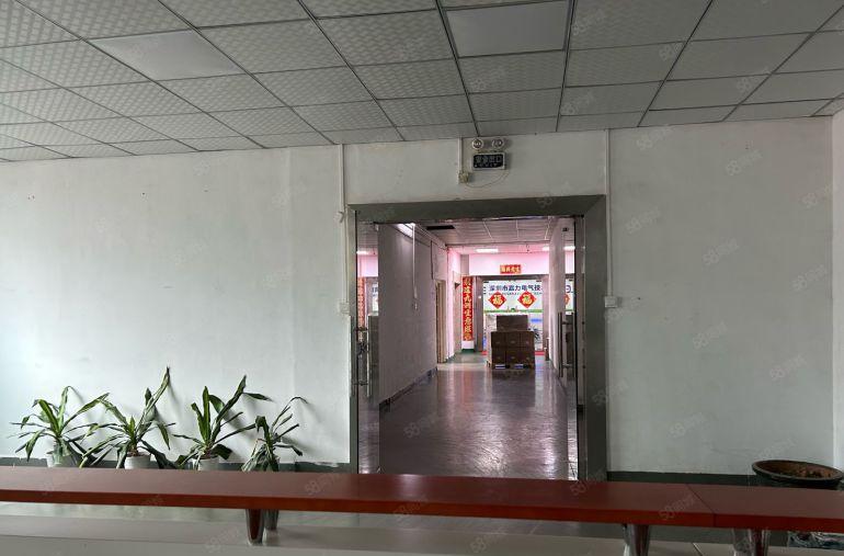 光明田竂原房东楼上1200平精装修厂房出租