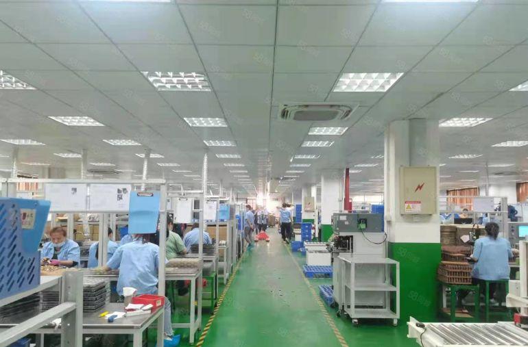 公明蒋石松柏路旁（精装厂房出租，1000平，随时可看可谈）