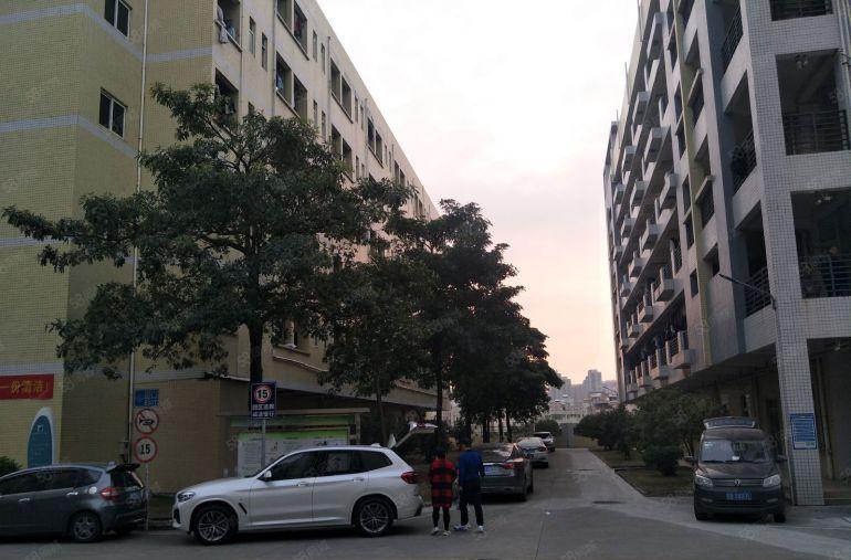 光明松白路边原房东自建红本厂房3万平方大小500平方起分租