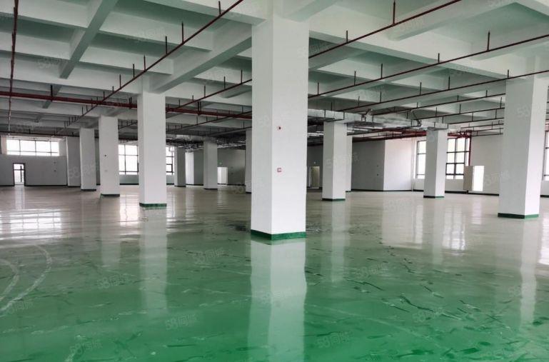 光明长兴原房东厂房出租5000平可分租1000平500平