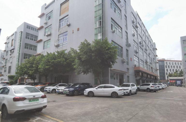 19元起租石岩塘头工业区500平至2000平厂房仓库低价出租