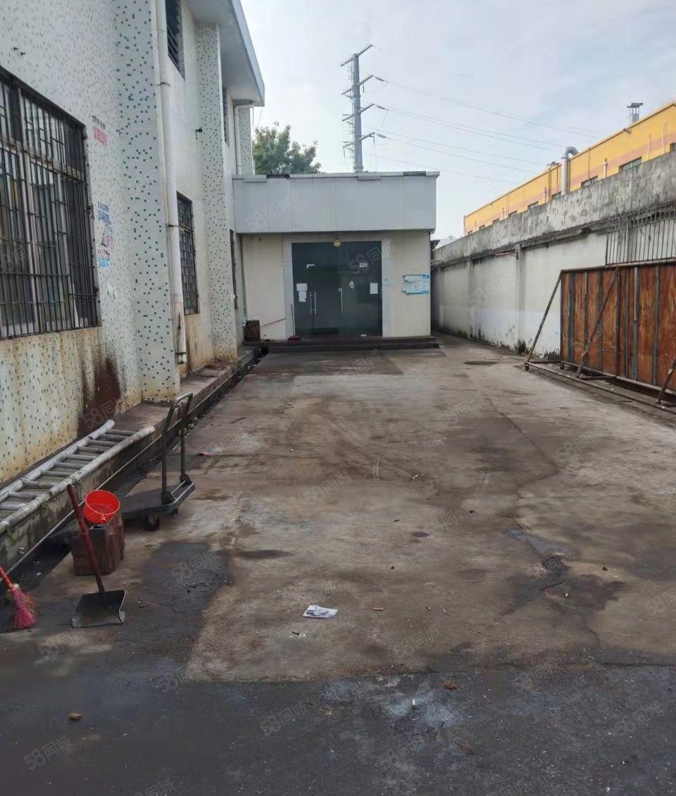 公明东坑钢结构小独门独院，面积1300平