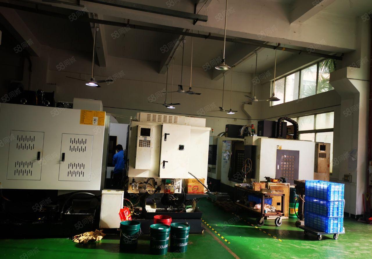 东坑新出一楼标准厂房300平带装修