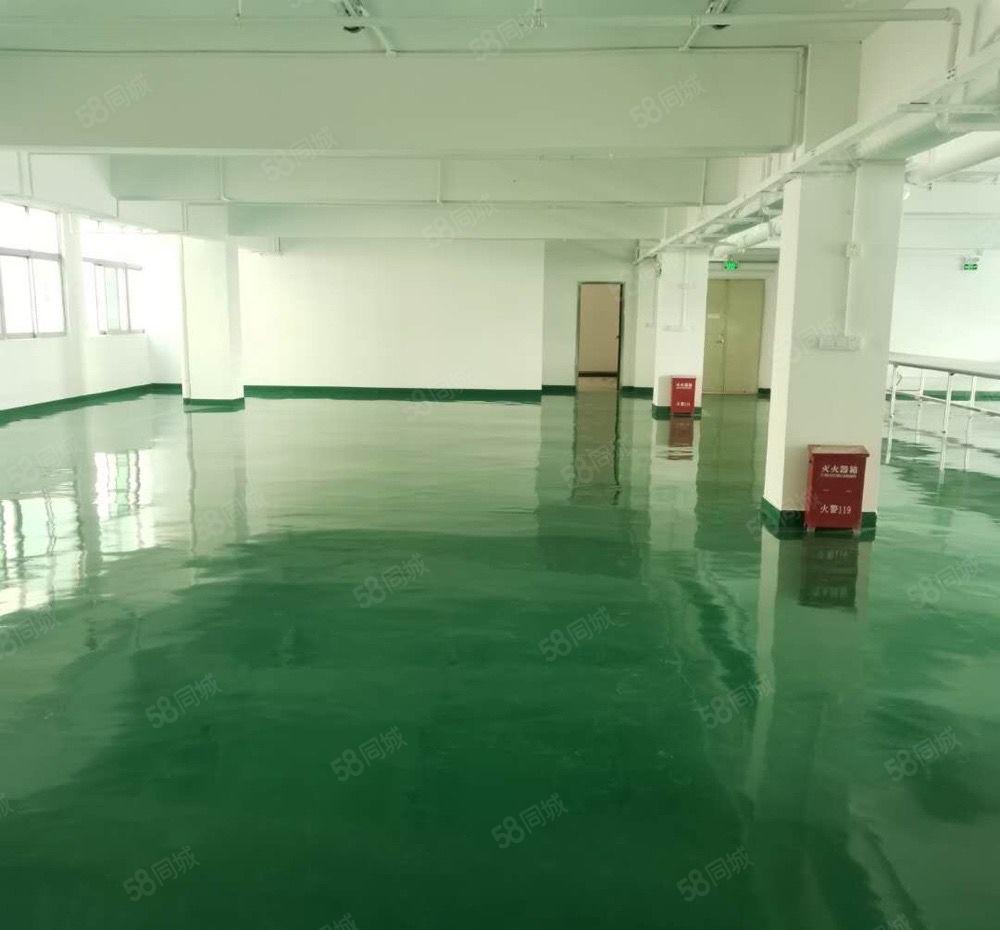 公明汽车站新出楼上带装修800平方厂房招租