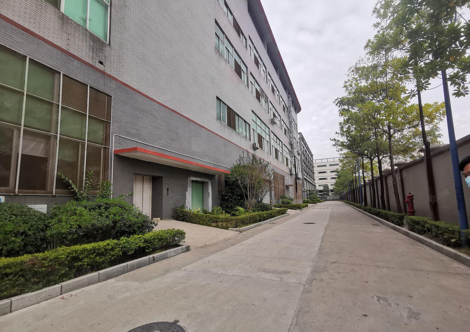 观澜章阁原房东红本整栋标准厂房7000平一整层出租带卸货平台