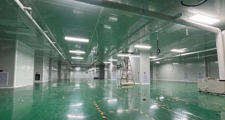 光明高薪园200平方800平方至2000平方低价仓库厂房出租