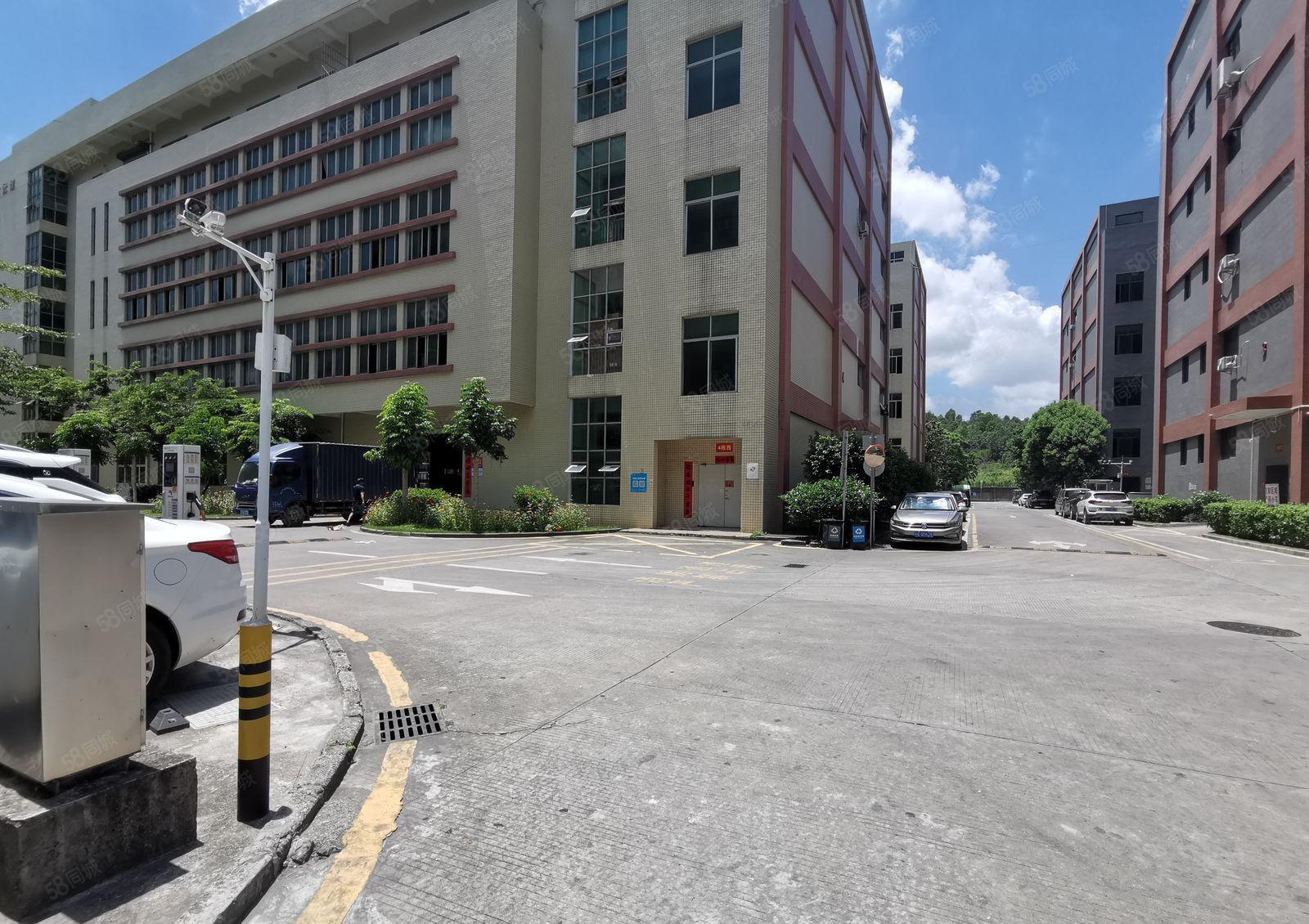 光明白花洞厂房出租1000平带精装修大气前台形象好大型工业园