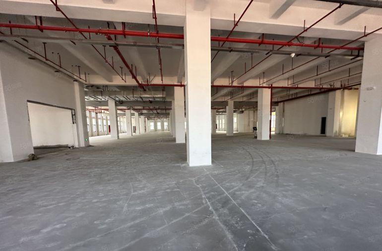 光明高新工业园区全新重工业厂房88000平方出租500起分租