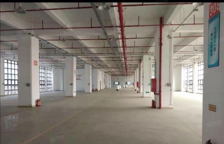 13元租全新红本厂房，仓库1000~4300平可做纸箱，电池