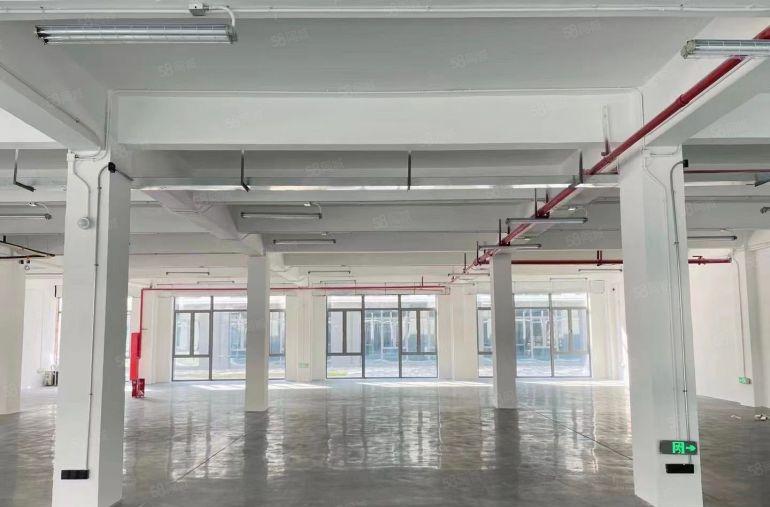 光明区高新园区独栋办公研发生产贸易企业总部，可分租