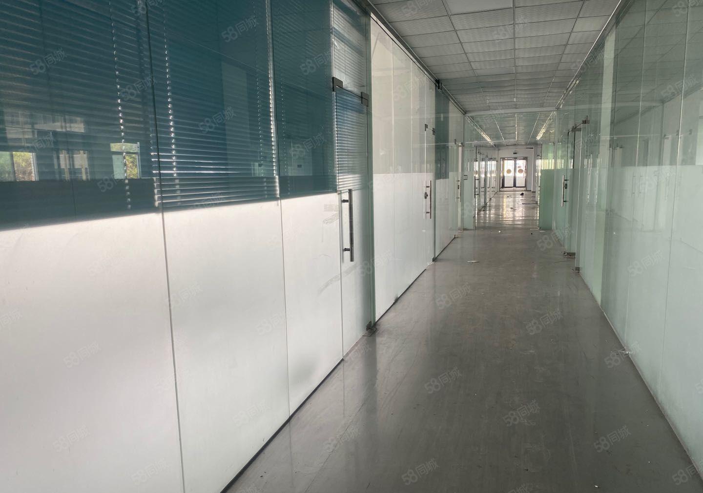 公明上村楼上厂房出租（1800平，19元），无公摊，可测量