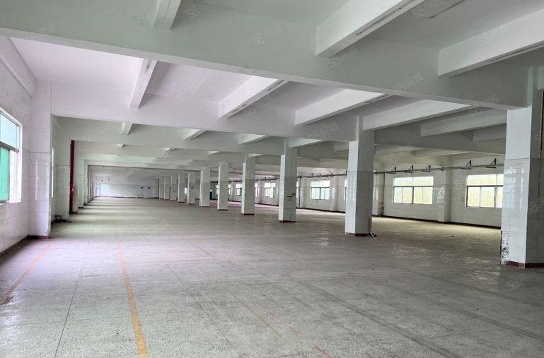 光明田寮200平起分租独院5000平带装修厂房仓库出租转租