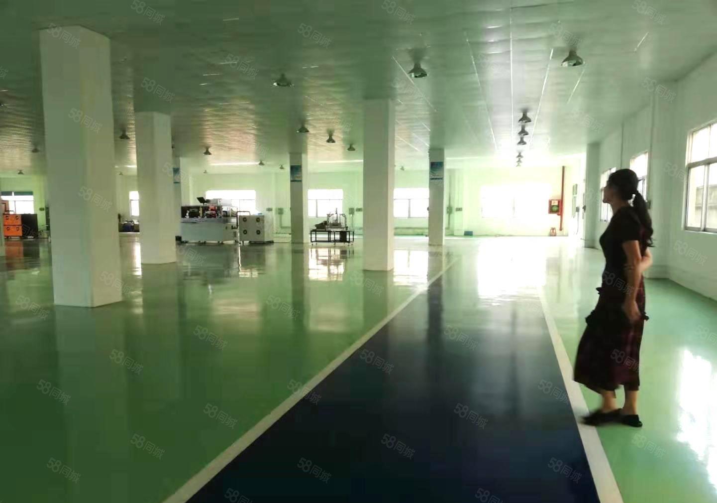 公明松柏路边上1950平大型园区人流量大好招工面积是在带装修