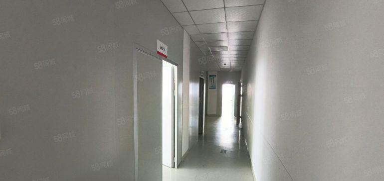 光明红本大园区楼上厂房出租1920平 精装修含税 配套齐全