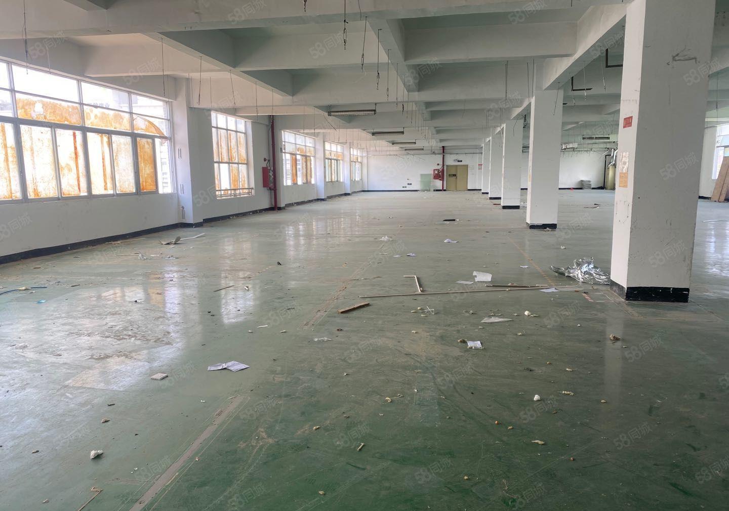 公明上村楼上厂房出租（1800平，19元），无公摊，可测量