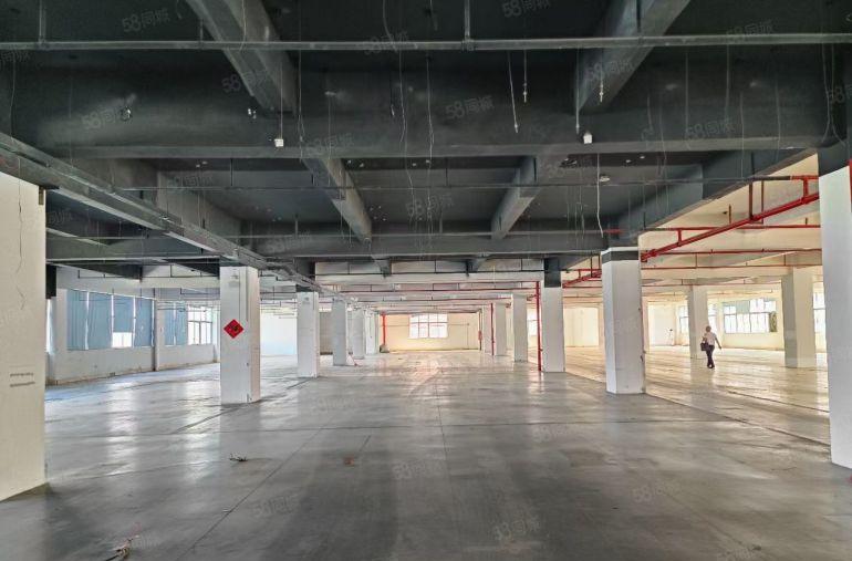 光明安防科技园厂房出租10000平 使用率高 形象好 空地大