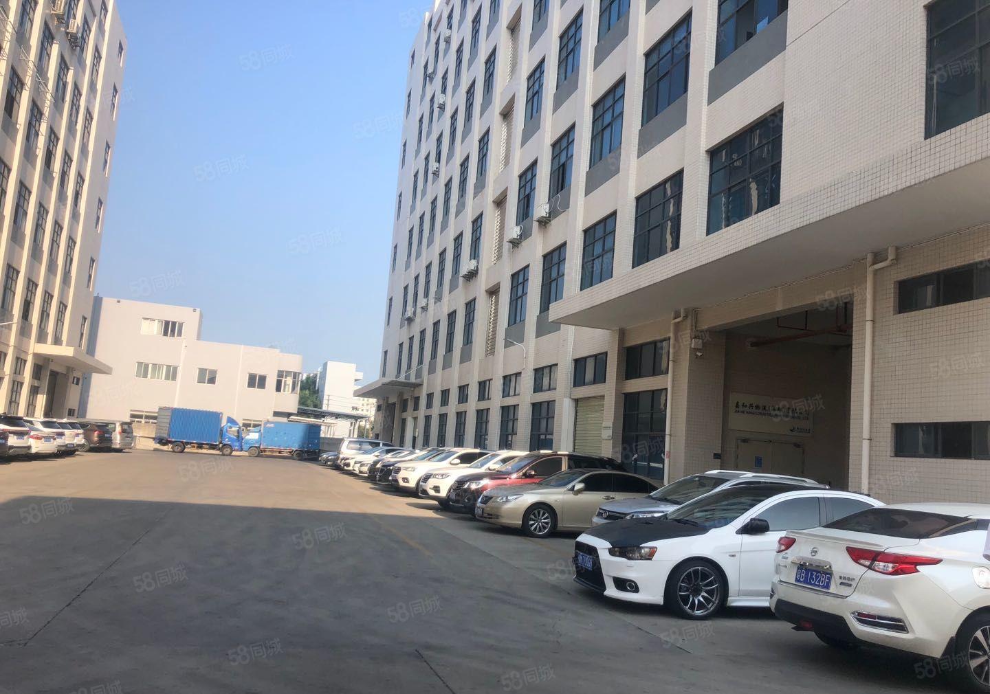 光明新围村高薪大型园区4楼5楼各2440平精装修带无尘车间