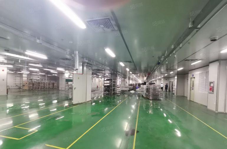 公明田寮大型园区楼上厂房出租1900平，精装带办公室无尘车间