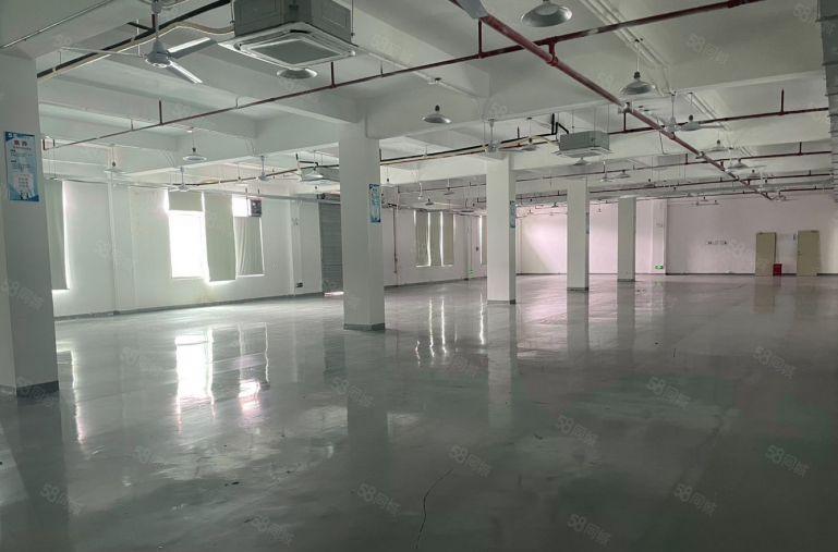 光明甲子塘新出独门独院4000平智慧产业园区大小面积可分