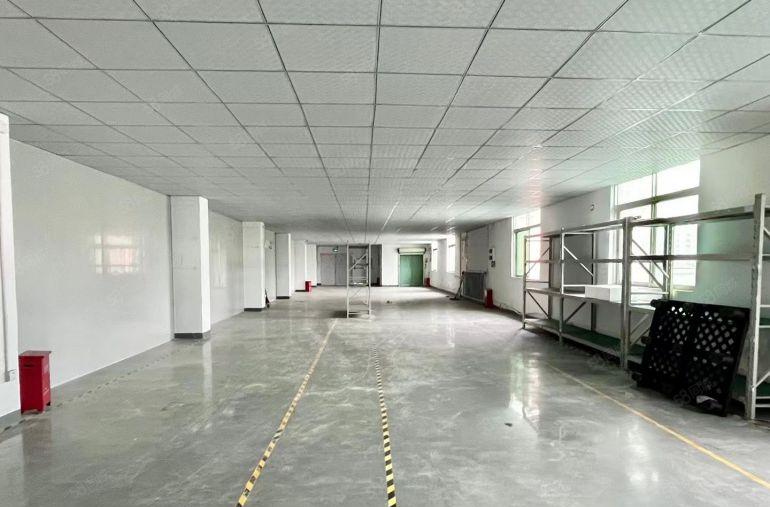 光明马田1楼楼上900和1100平出租带豪华办公室（可分割