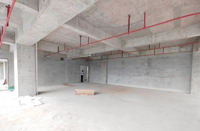 光明特建红本厂房生物医疗智能制造新材料行业面积大小可分