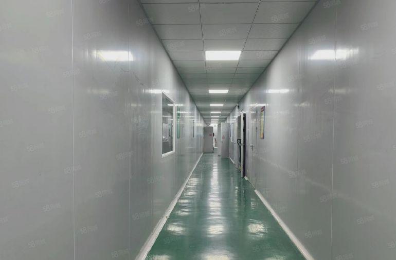 公明蒋石无尘车间厂房出租（2860平单层1430，750平）