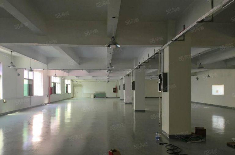 光明凤凰城原房东厂房出租5000平 500平起分 园区形象好