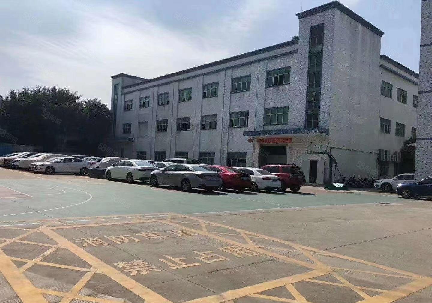 公明原房东独院厂房4500平（豪华装修，315独立变压器）