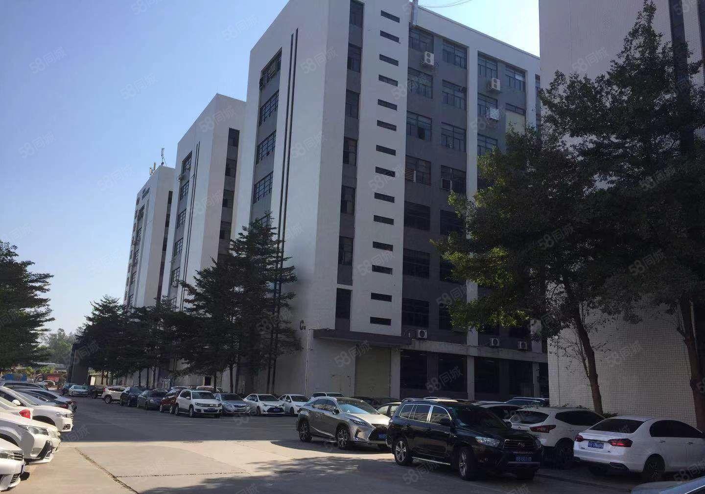 公明甲子塘厂房出租（5500平一整层，5吨货梯，原房东直租）