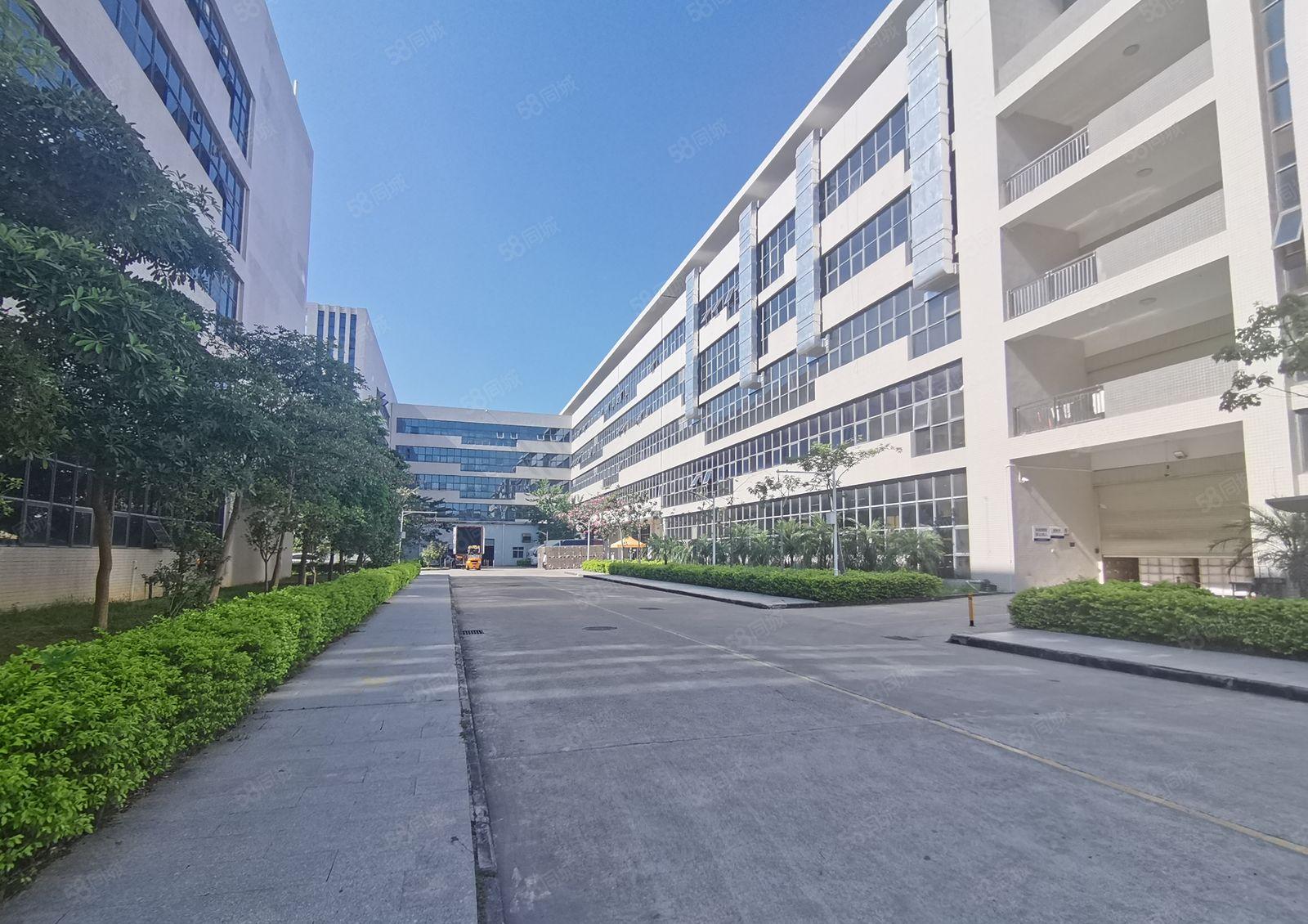 25元光明田寮第七工业区5200平厂房原房东1000平起出租