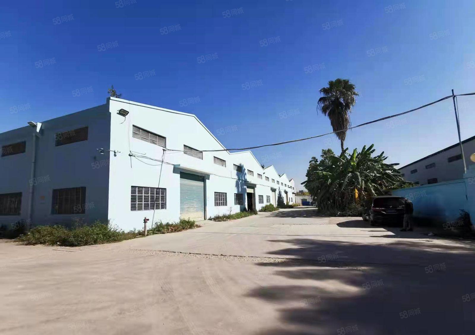 公明独院钢构出租6300平，可做生产，仓库，带红本，空地超大