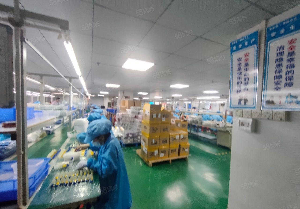 楼村大型工业园新出精装修厂房700平带无尘车间