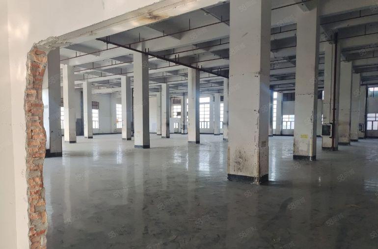 光明南光塘明出口红本厂房出租，可分租