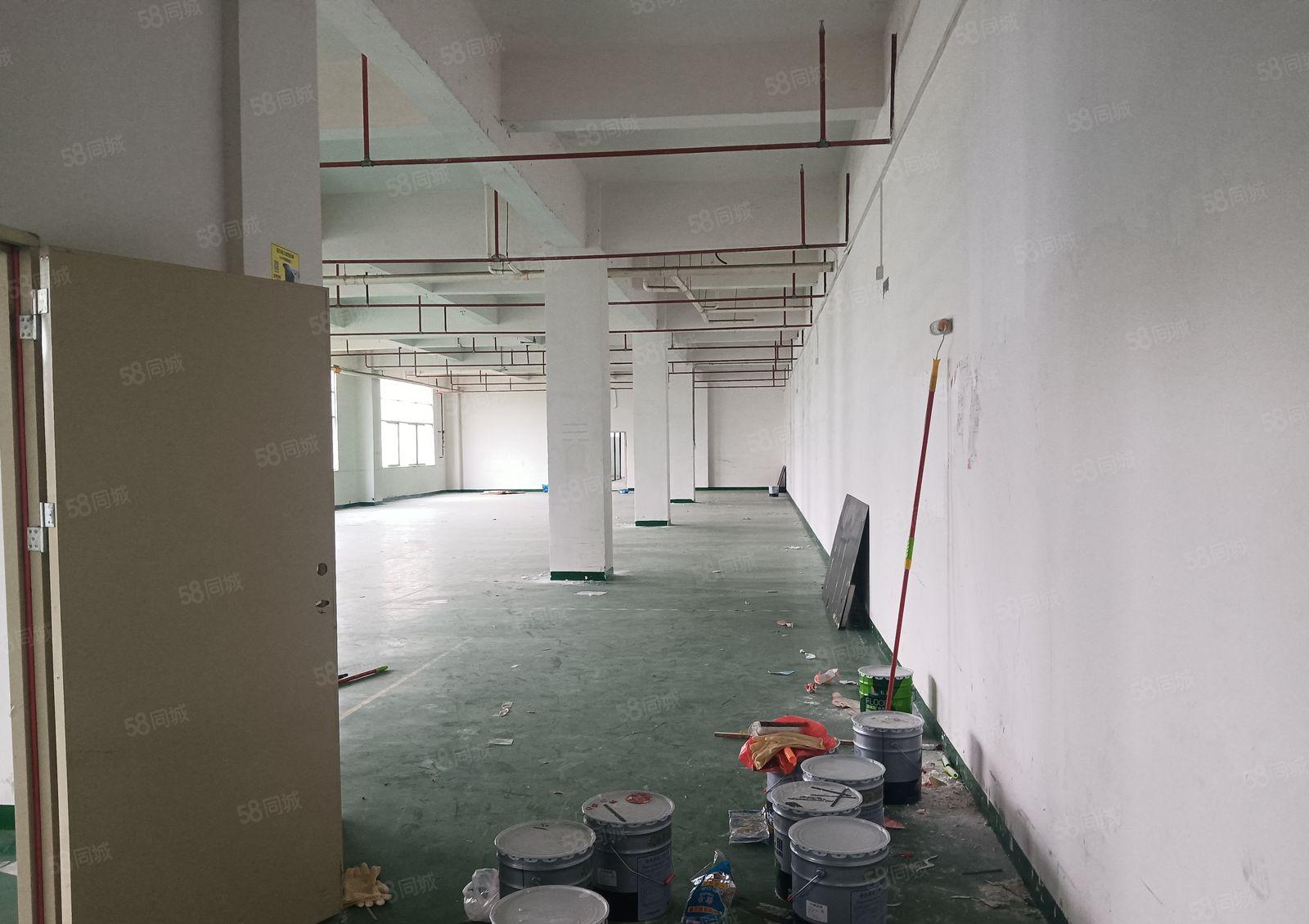 公明光明大道边上新出厂房独门独院13层6600平方交通便利